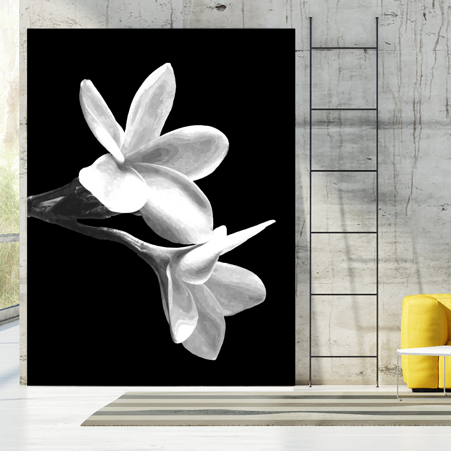 White Flowers Black Background by Alessandra Minervini on GIANT ART - black digital painting