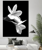 White Flowers Black Background by Alessandra Minervini on GIANT ART - black digital painting