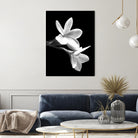 White Flowers Black Background by Alessandra Minervini on GIANT ART - black digital painting