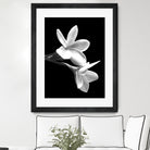 White Flowers Black Background by Alessandra Minervini on GIANT ART - black digital painting