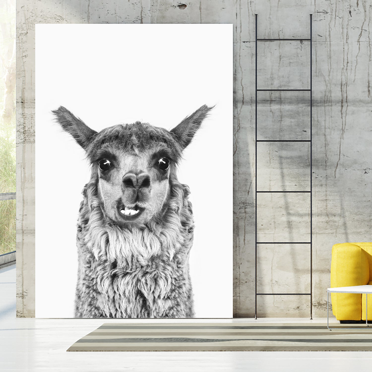 Happy Llama by Kathrin Pienaar on GIANT ART - gray photo manipulation