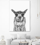 Happy Llama by Kathrin Pienaar on GIANT ART - gray photo manipulation