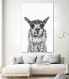 Happy Llama by Kathrin Pienaar on GIANT ART - gray photo manipulation