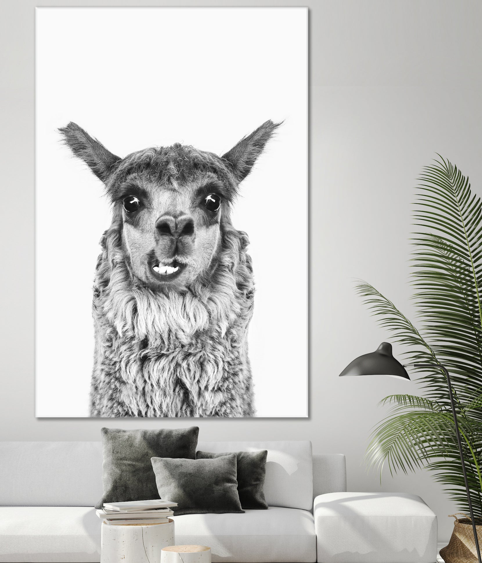 Happy Llama by Kathrin Pienaar on GIANT ART - gray photo manipulation