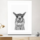 Happy Llama by Kathrin Pienaar on GIANT ART - gray photo manipulation