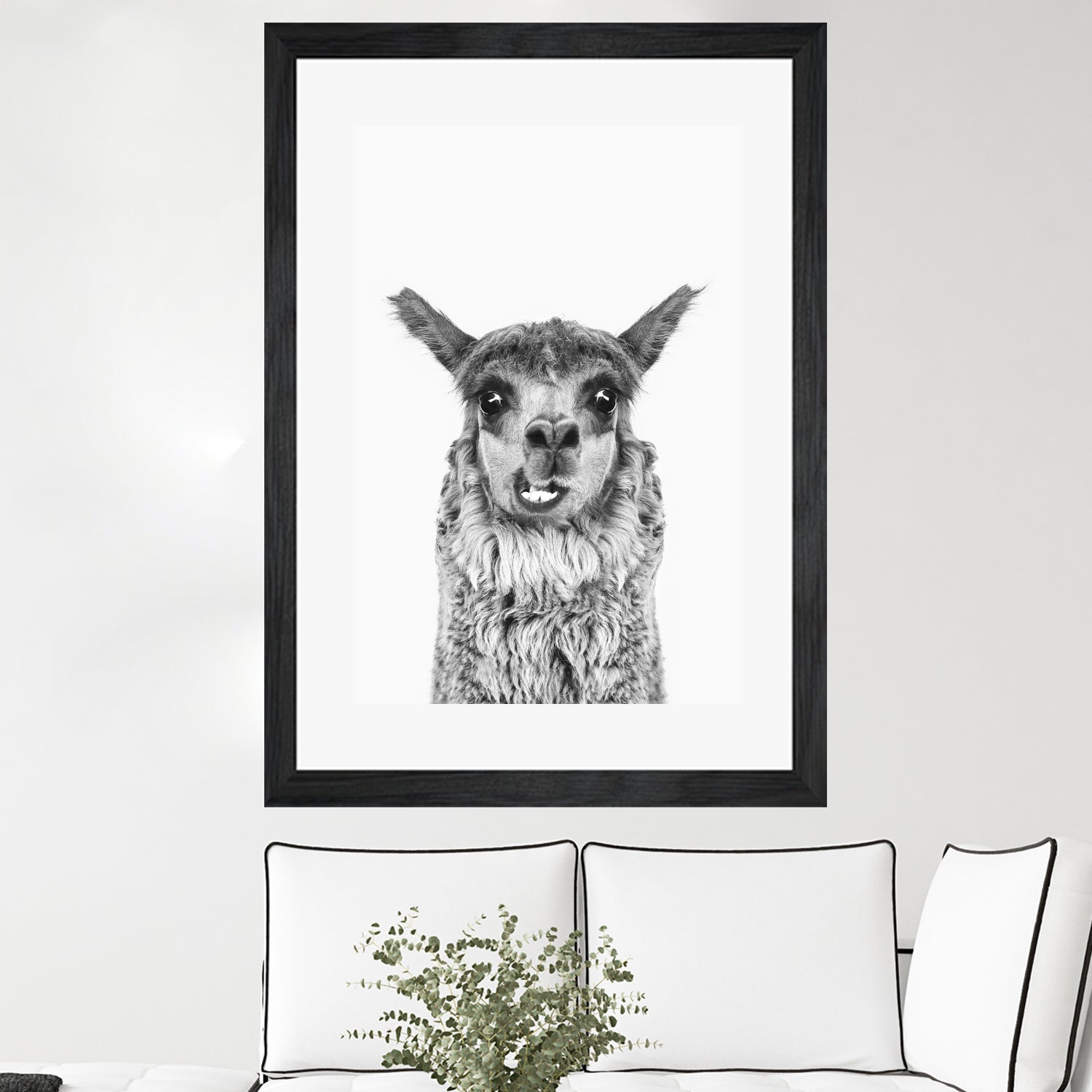 Happy Llama by Kathrin Pienaar on GIANT ART - gray photo manipulation