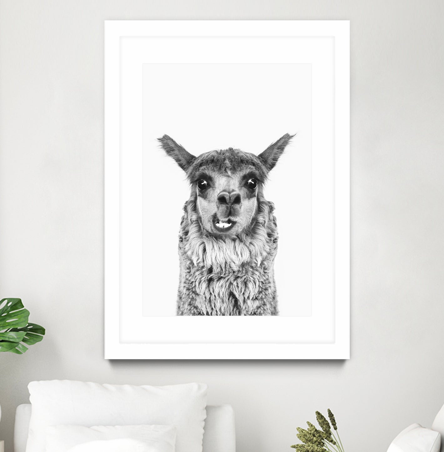 Happy Llama by Kathrin Pienaar on GIANT ART - gray photo manipulation