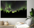 Quebec Northern Lights by Lorenzo Bustillo on GIANT ART - gray photo illustration