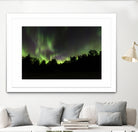 Quebec Northern Lights by Lorenzo Bustillo on GIANT ART - gray photo illustration