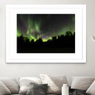 Quebec Northern Lights by Lorenzo Bustillo on GIANT ART - gray photo illustration