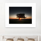 Windswept tree at Penclawdd, Gower by Leighton Collins on GIANT ART - orange photo illustration