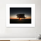 Windswept tree at Penclawdd, Gower by Leighton Collins on GIANT ART - orange photo illustration