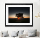 Windswept tree at Penclawdd, Gower by Leighton Collins on GIANT ART - orange photo illustration