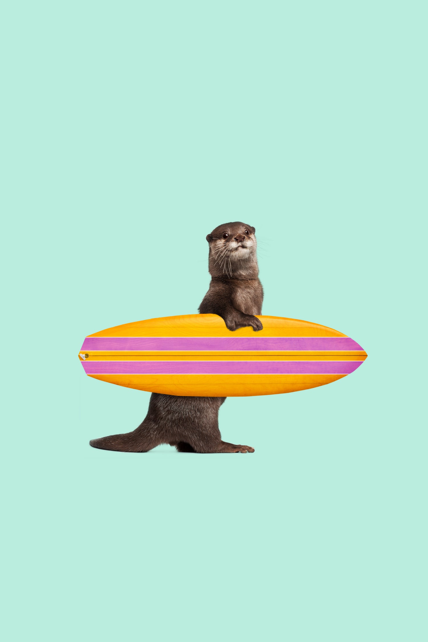 SURFING OTTER by Jonas Loose on GIANT ART - blue character design