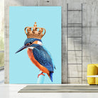 KINGFISHER by Jonas Loose on GIANT ART - blue photo manipulation