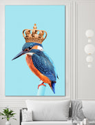 KINGFISHER by Jonas Loose on GIANT ART - blue photo manipulation