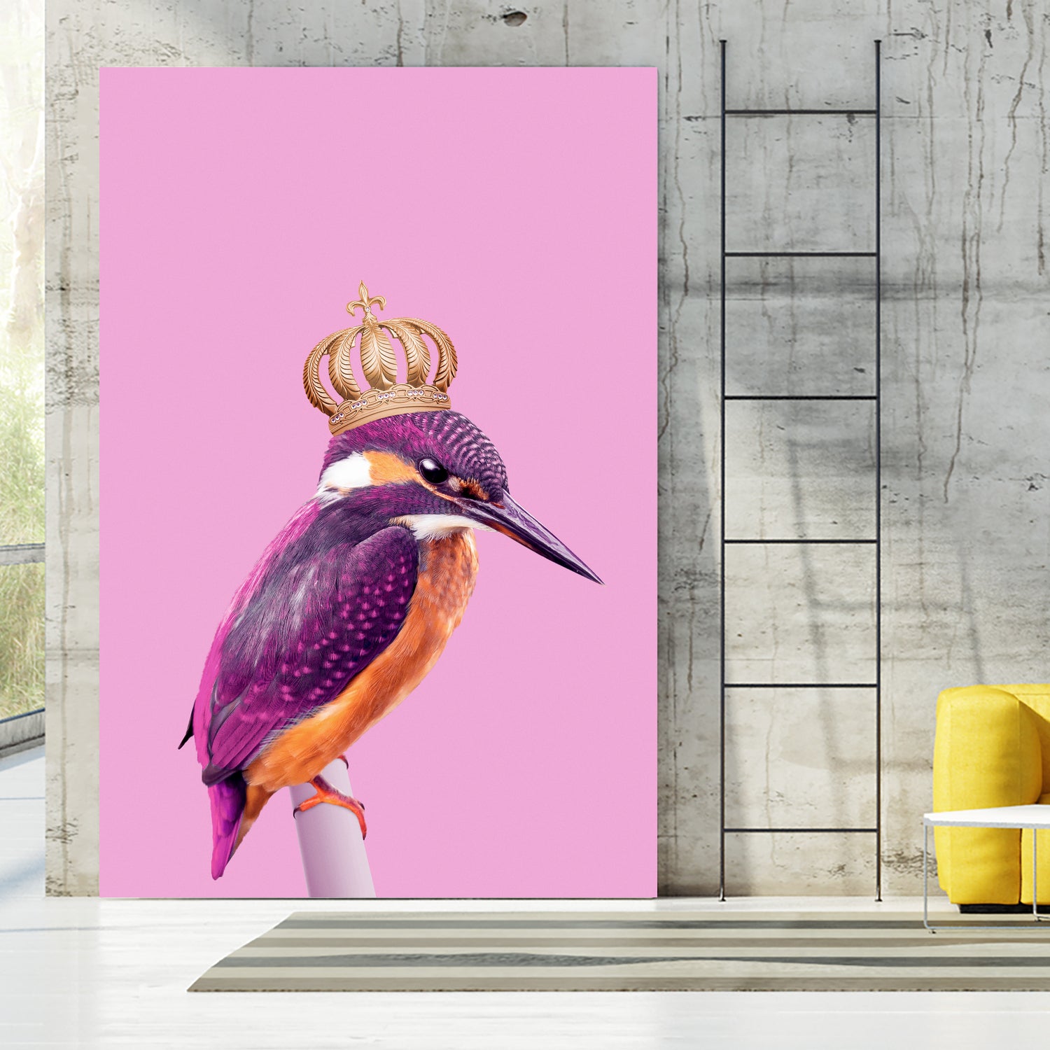 QUEENFISHER by Jonas Loose on GIANT ART - pink photo manipulation