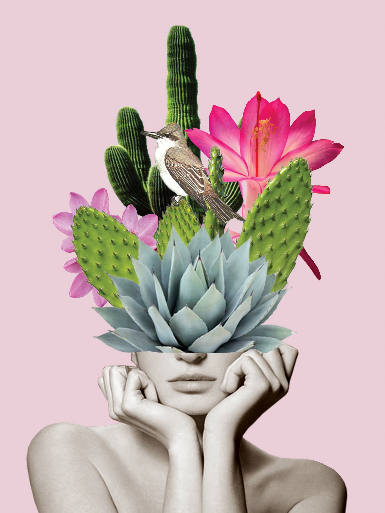 Cactus Lady by dada22 . on GIANT ART - pink photo illustration