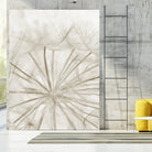 Dandelion Neutral Close-up by IOANNA PAPANIKOLAOU on GIANT ART - brown photo illustration