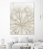 Dandelion Neutral Close-up by IOANNA PAPANIKOLAOU on GIANT ART - brown photo illustration