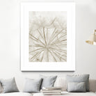 Dandelion Neutral Close-up by IOANNA PAPANIKOLAOU on GIANT ART - brown photo illustration