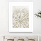 Dandelion Neutral Close-up by IOANNA PAPANIKOLAOU on GIANT ART - brown photo illustration