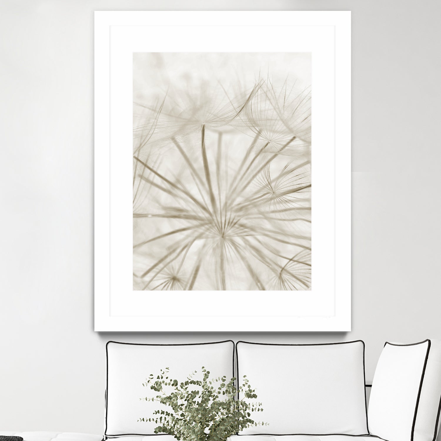 Dandelion Neutral Close-up by IOANNA PAPANIKOLAOU on GIANT ART - brown photo illustration