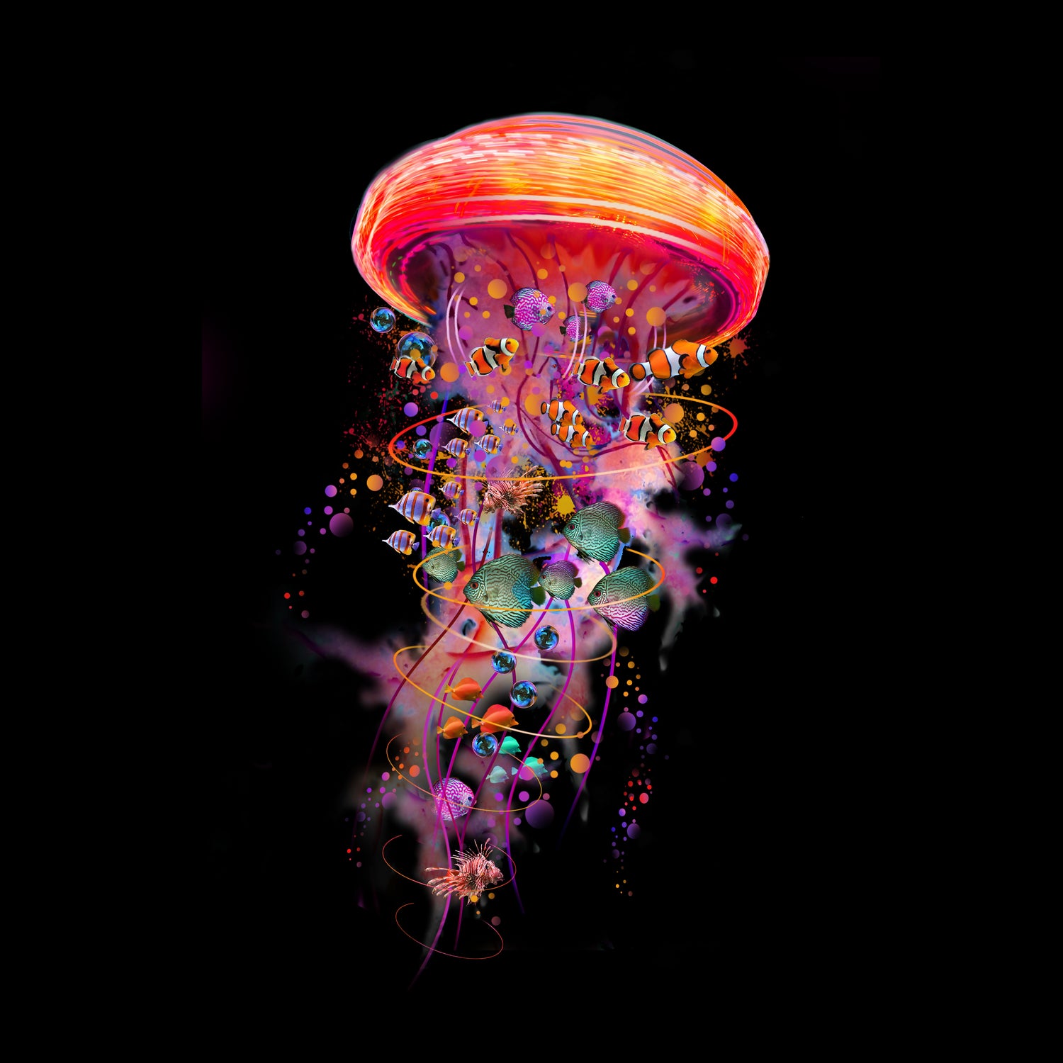 Jellyfish World by David Loblaw on GIANT ART - blue photo illustration