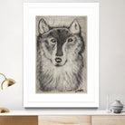 Wolfie by Janet London on GIANT ART - black and white abstract wolf