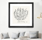 L'arbre Platane by Henri Matisse  on GIANT ART - museums