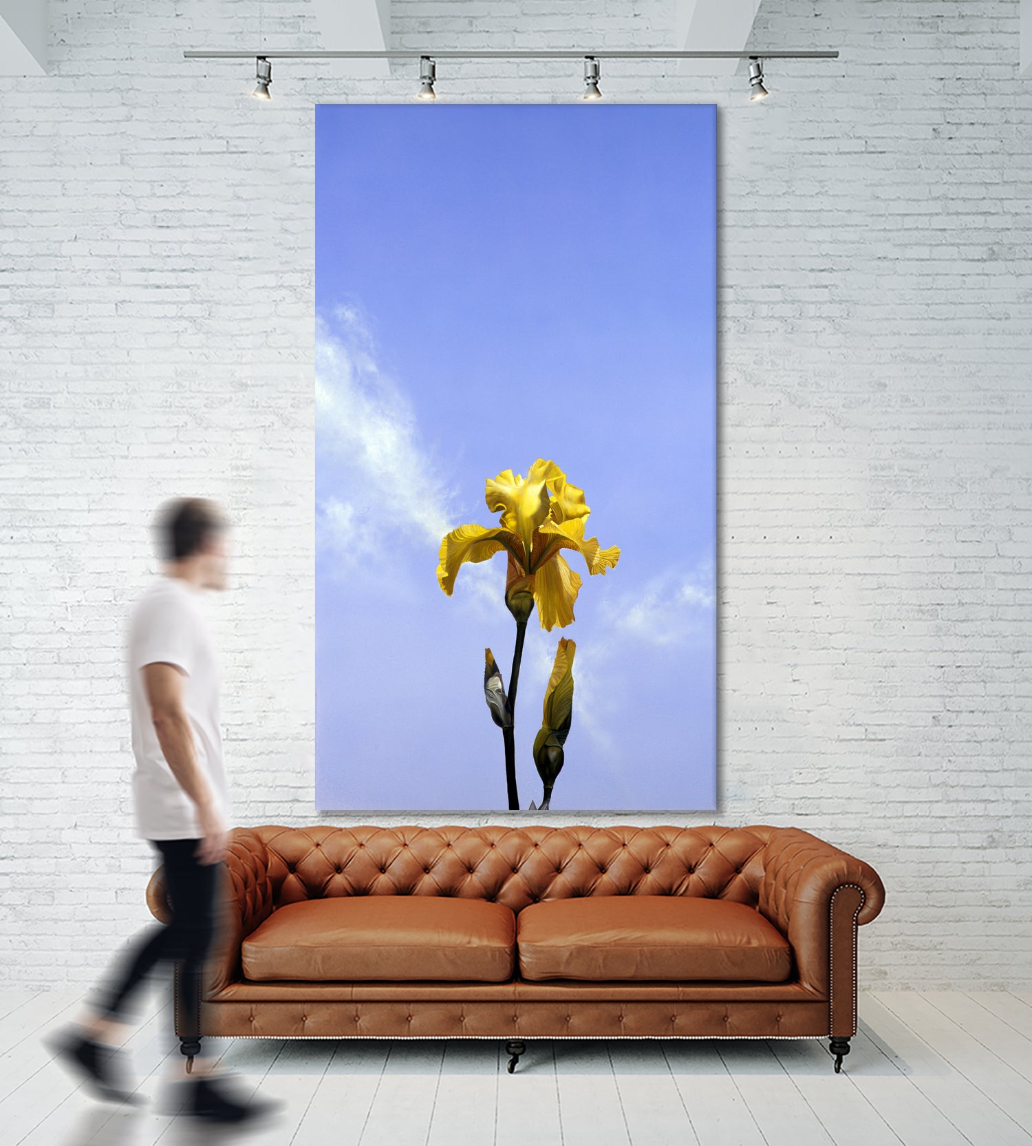 Yellow Iris by Matthew Holden Bates on GIANT ART - yellow botanical