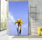 Yellow Iris by Matthew Holden Bates on GIANT ART - yellow botanical