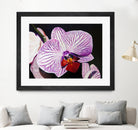 Purple Orchids by Matthew Holden Bates on GIANT ART - purple botanical