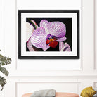 Purple Orchids by Matthew Holden Bates on GIANT ART - purple botanical