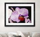 Purple Orchids by Matthew Holden Bates on GIANT ART - purple botanical