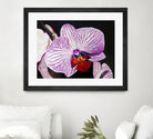 Purple Orchids by Matthew Holden Bates on GIANT ART - purple botanical