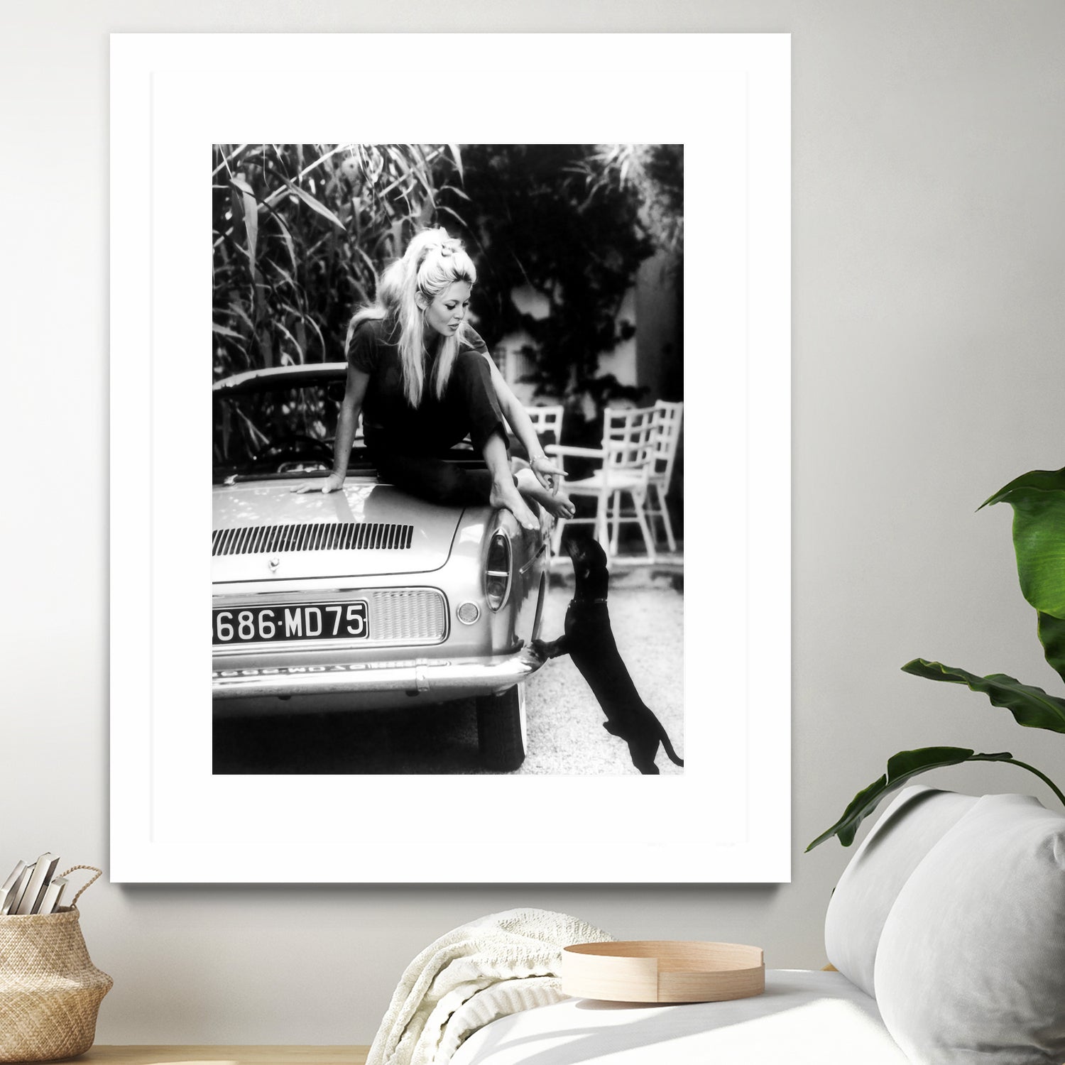 Brigitte Bardot  with her dog in St. Tropez, 1962 by M Studio on GIANT ART - black and white photographie bardot