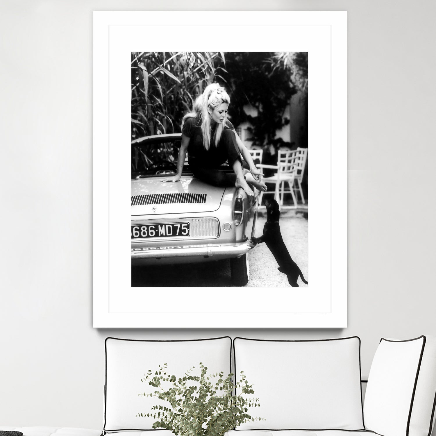 Brigitte Bardot  with her dog in St. Tropez, 1962 by M Studio on GIANT ART - black and white photographie bardot