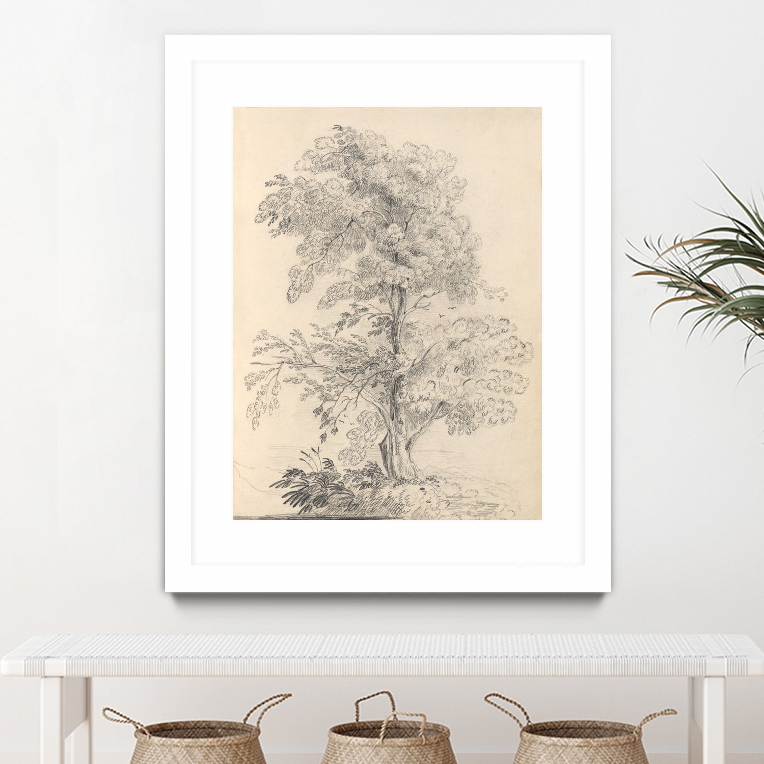 Tree Sketch by Wild Apple Portfolio on GIANT ART - abstract