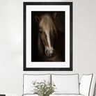 Sapience by Martine on GIANT ART - animals haflinger