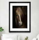 Sapience by Martine on GIANT ART - animals haflinger