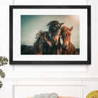 Family portrait by Marcus Hennen on GIANT ART - friendship animal friendship