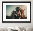 Family portrait by Marcus Hennen on GIANT ART - friendship animal friendship