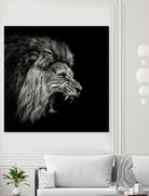 Roaring Lion #2 by Christian Meermann on GIANT ART - feline animal feline