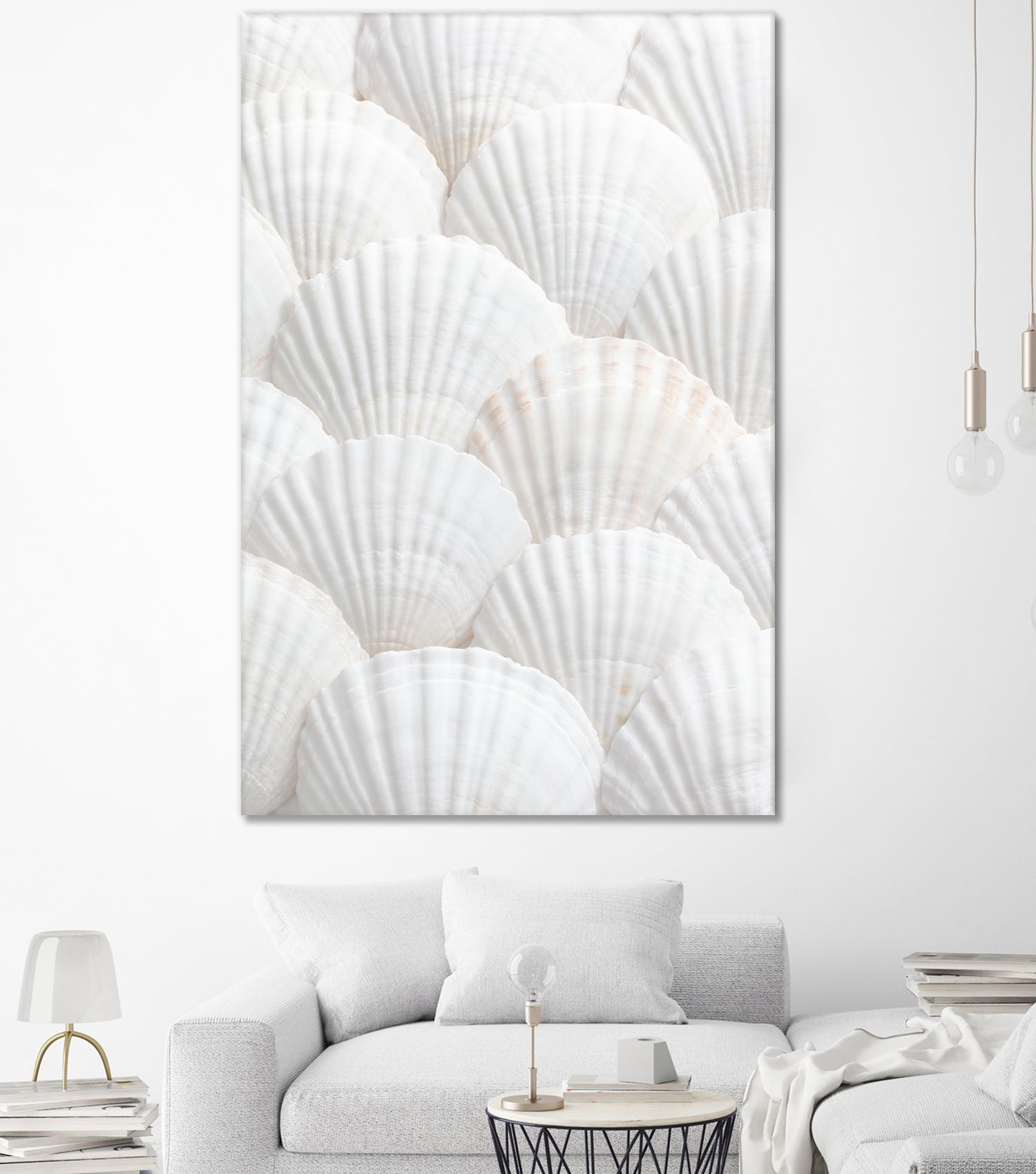 Shells_3 by Pictufy Studio III on GIANT ART - photography shells