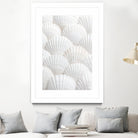 Shells_3 by Pictufy Studio III on GIANT ART - photography shells