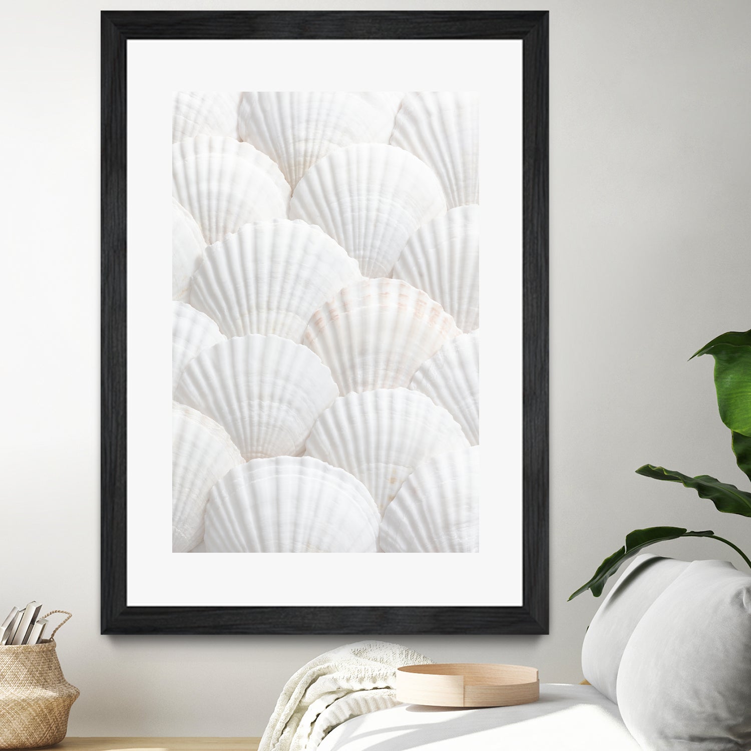 Shells_3 by Pictufy Studio III on GIANT ART - photography shells