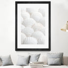 Shells_3 by Pictufy Studio III on GIANT ART - photography shells