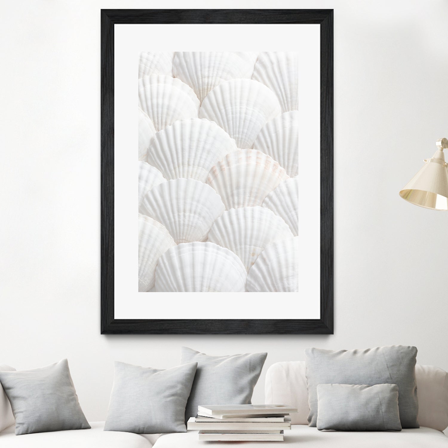 Shells_3 by Pictufy Studio III on GIANT ART - photography shells