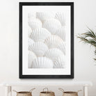 Shells_3 by Pictufy Studio III on GIANT ART - photography shells